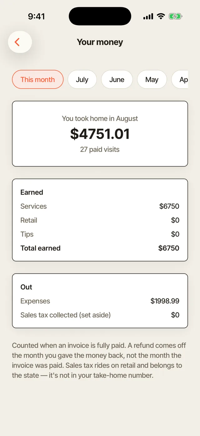 Your money for the month: take-home over paid visits, what was earned, and what went out.